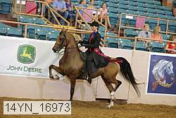 14yn_16973 proof