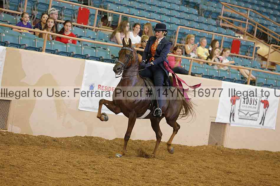 Proof 14yn_16977