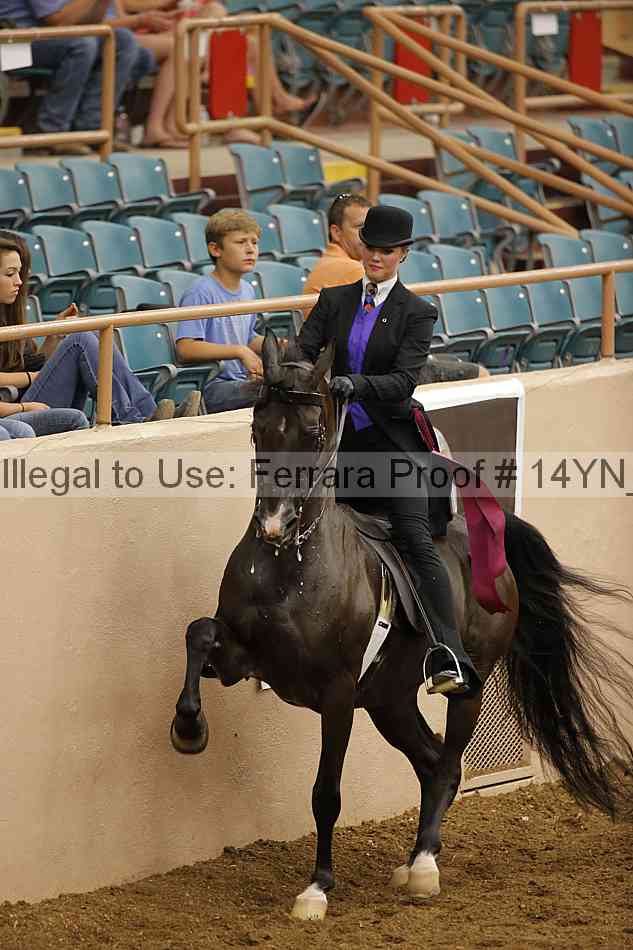 Proof 14yn_17002