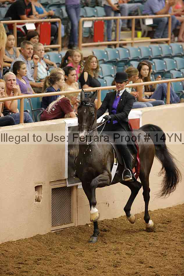 Proof 14yn_17003