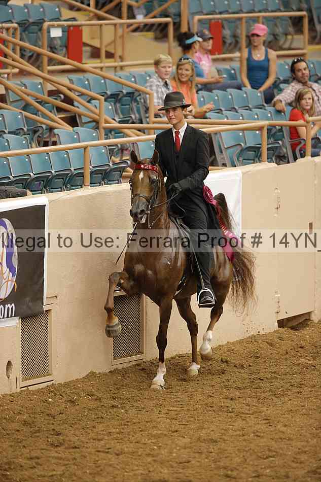 Proof 14yn_17004