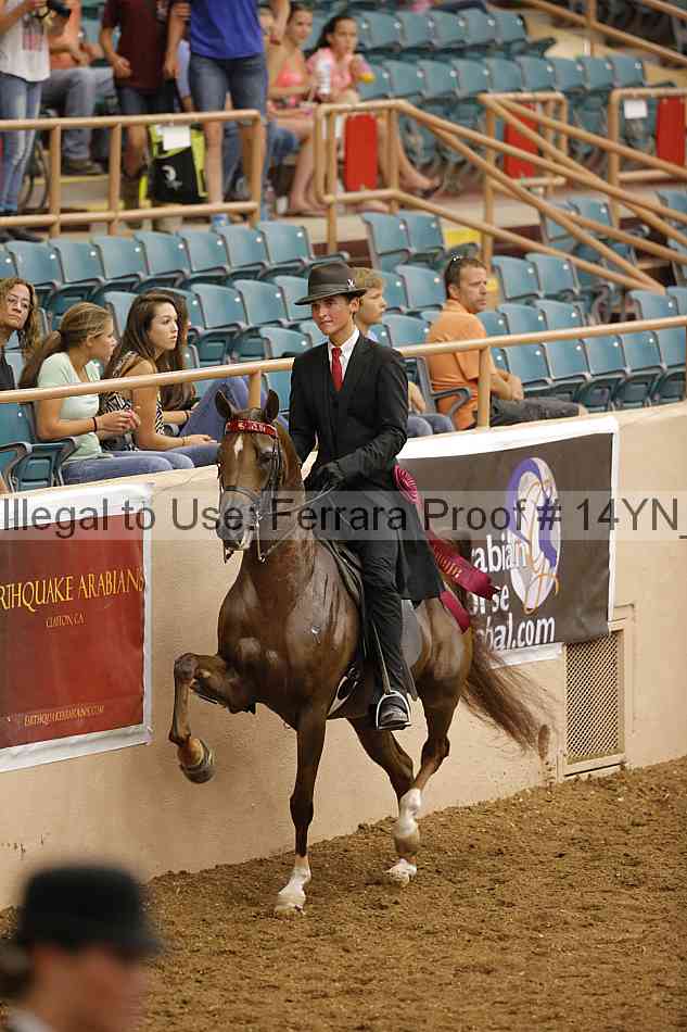 Proof 14yn_17005
