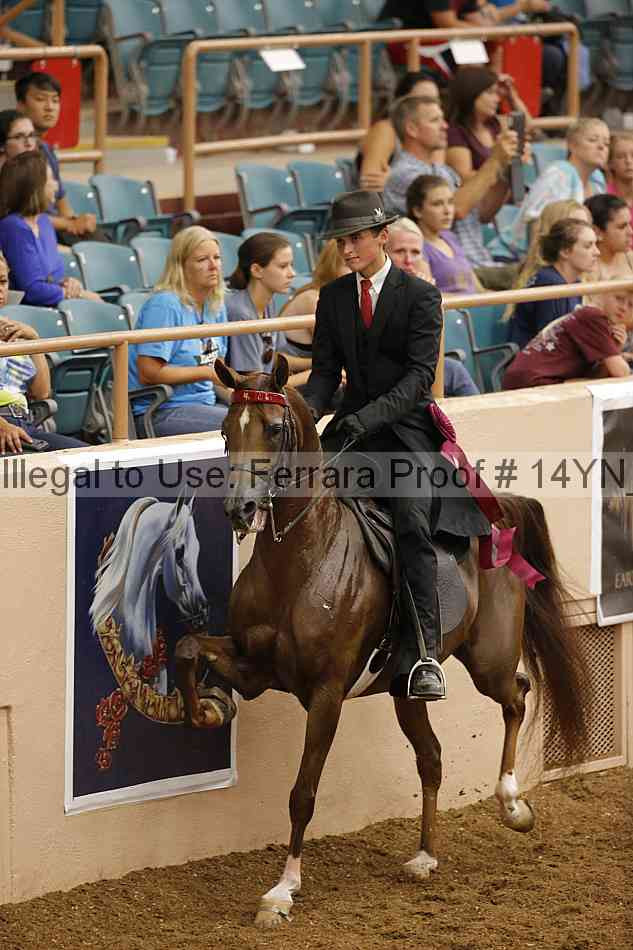 Proof 14yn_17006