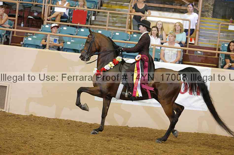Proof 14yn_17008