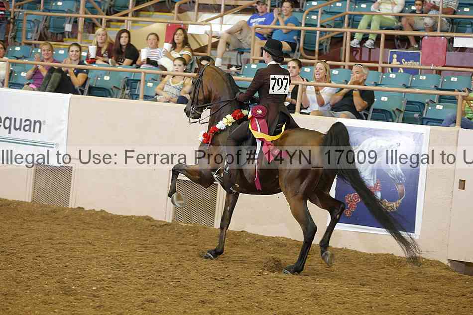 Proof 14yn_17009