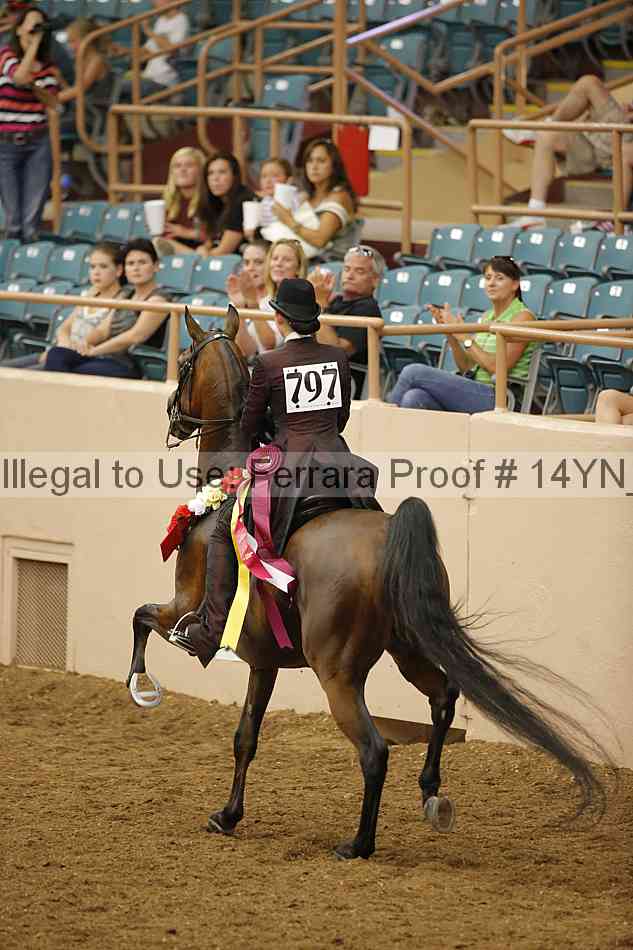 Proof 14yn_17010