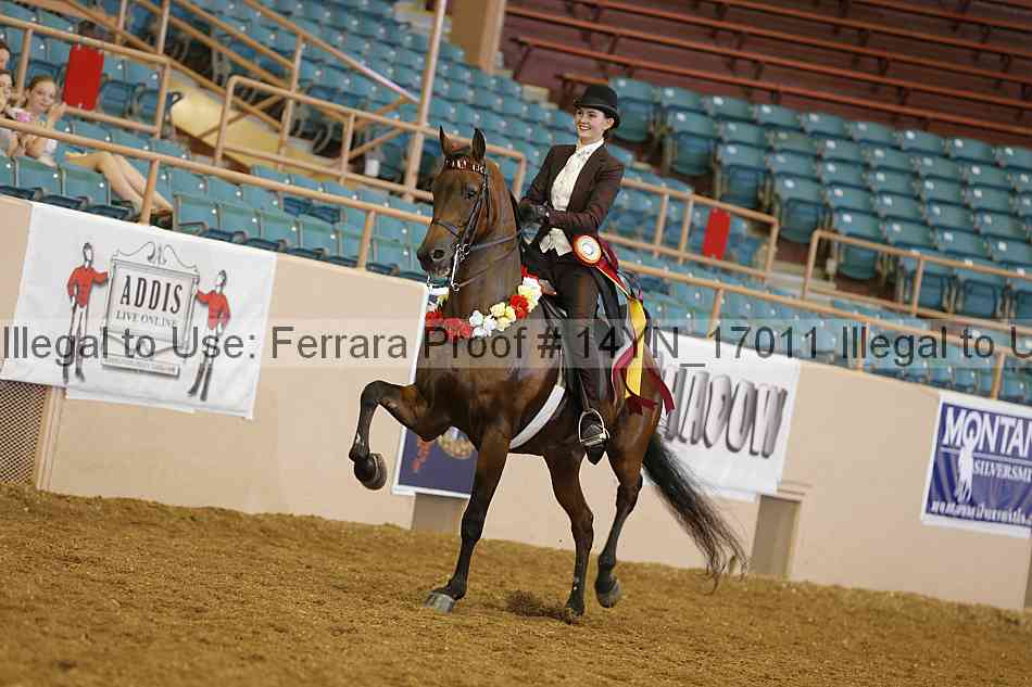 Proof 14yn_17011