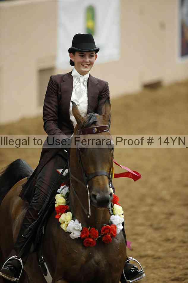 Proof 14yn_17020