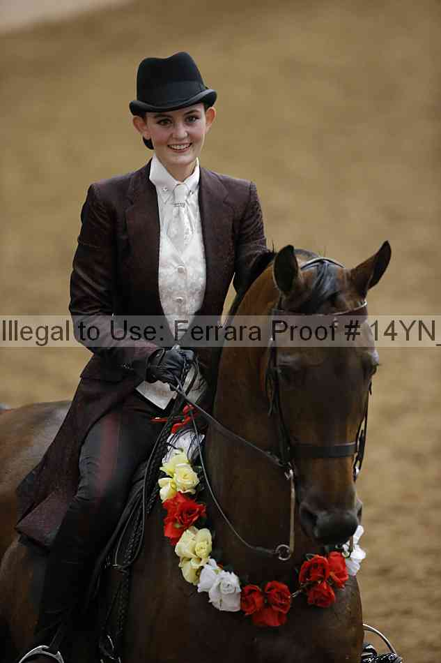 Proof 14yn_17022