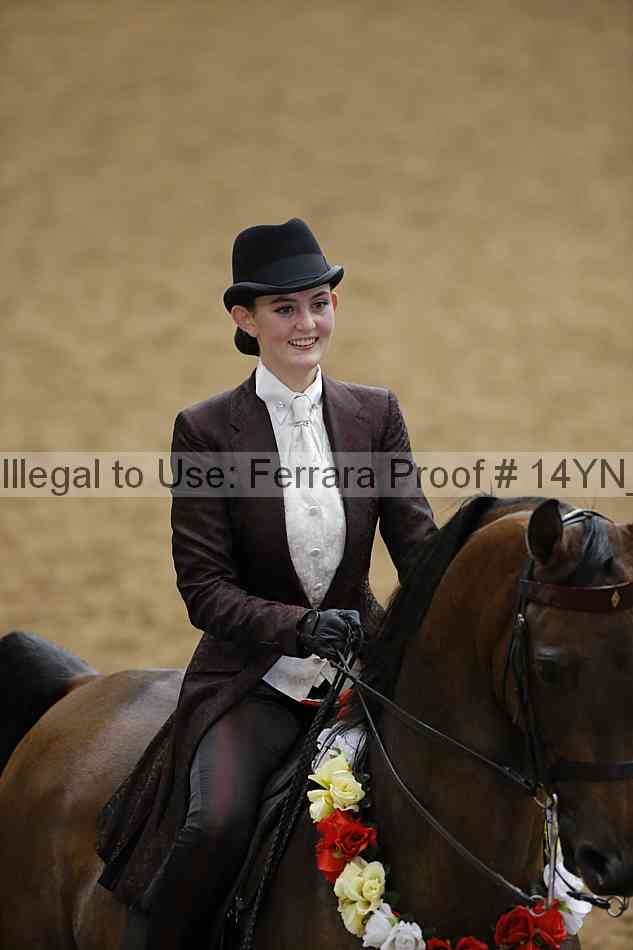 Proof 14yn_17024