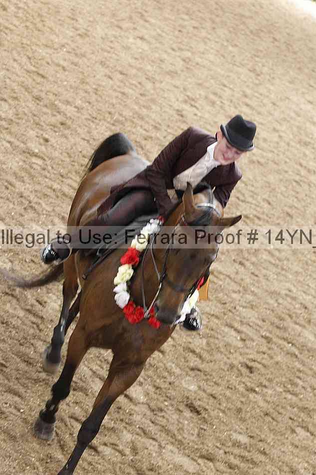 Proof 14yn_17026