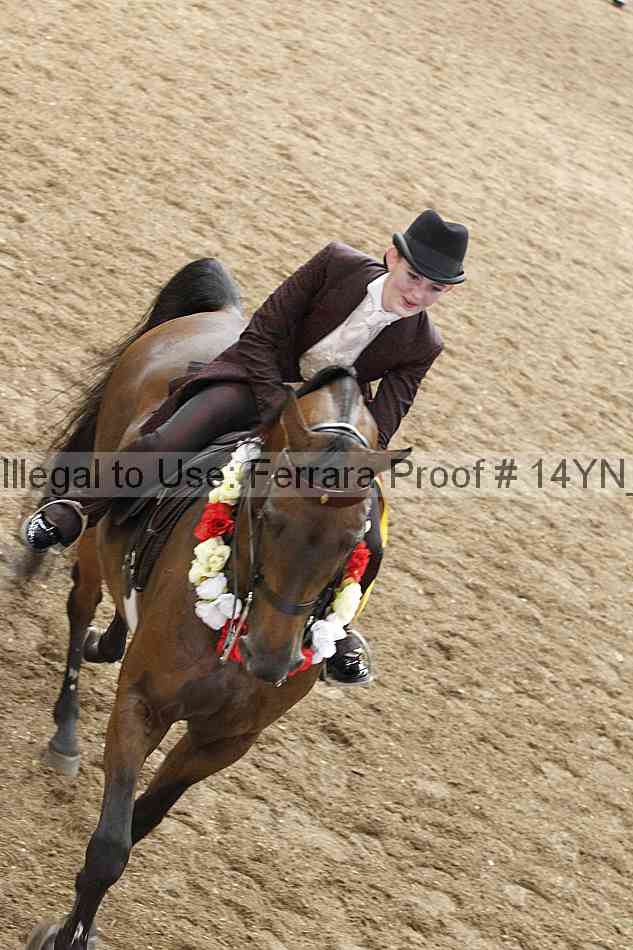 Proof 14yn_17027