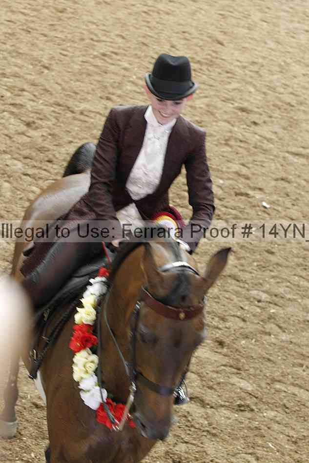 Proof 14yn_17029