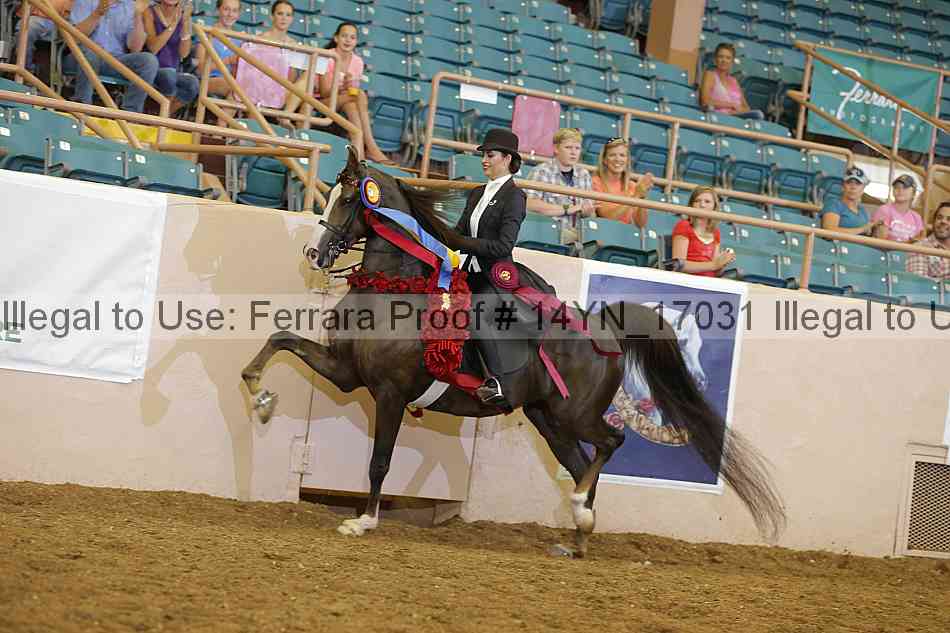 Proof 14yn_17031