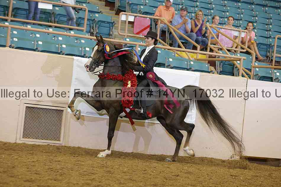 Proof 14yn_17032