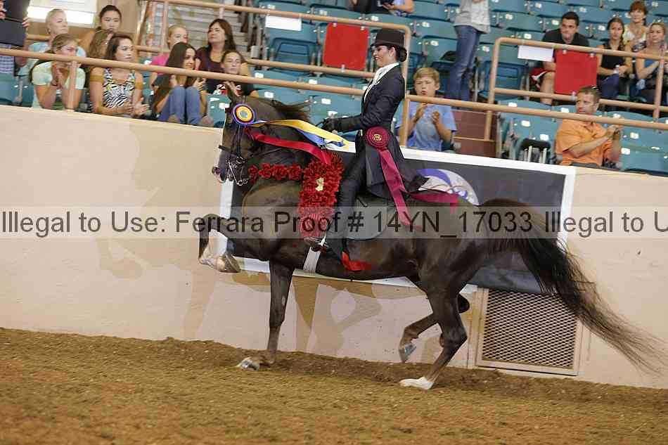 Proof 14yn_17033