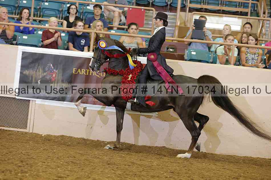 Proof 14yn_17034