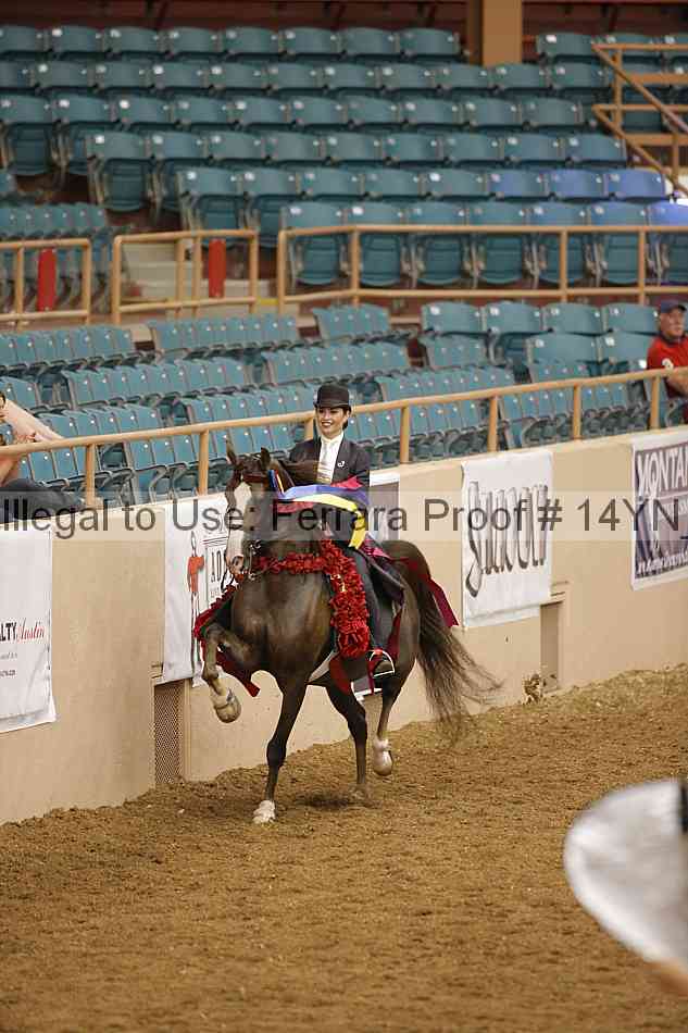 Proof 14yn_17035