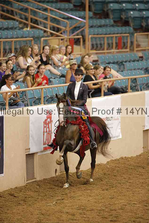 Proof 14yn_17037