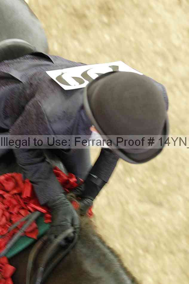 Proof 14yn_17046