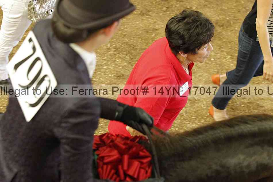 Proof 14yn_17047