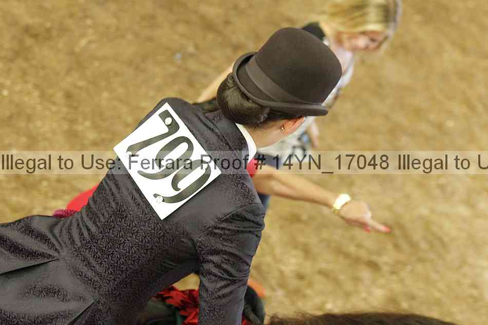 Proof 14yn_17048