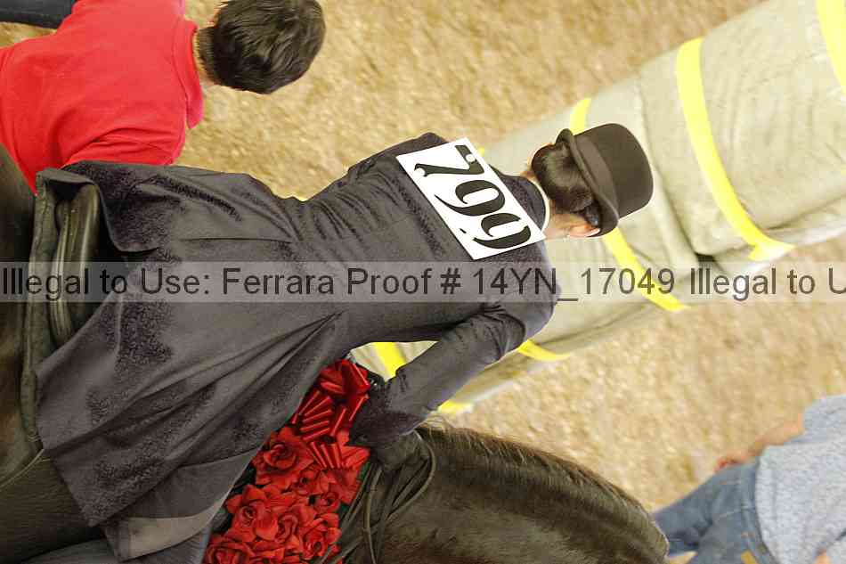 Proof 14yn_17049