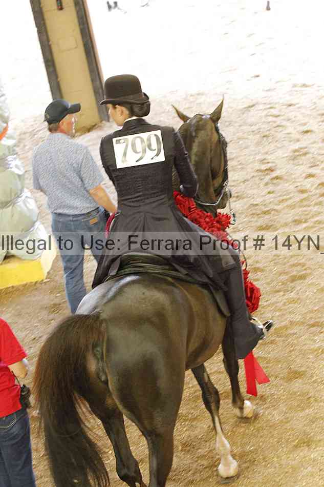 Proof 14yn_17051