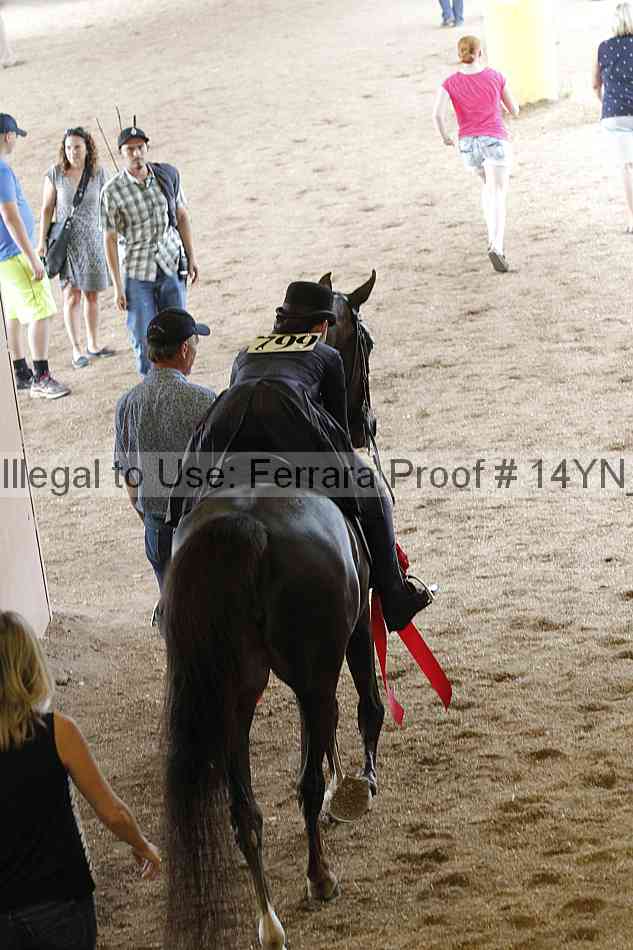 Proof 14yn_17052
