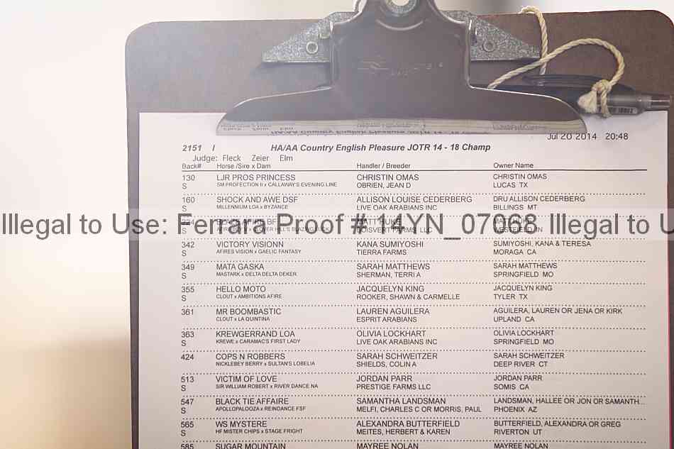 Proof 14yn_07068