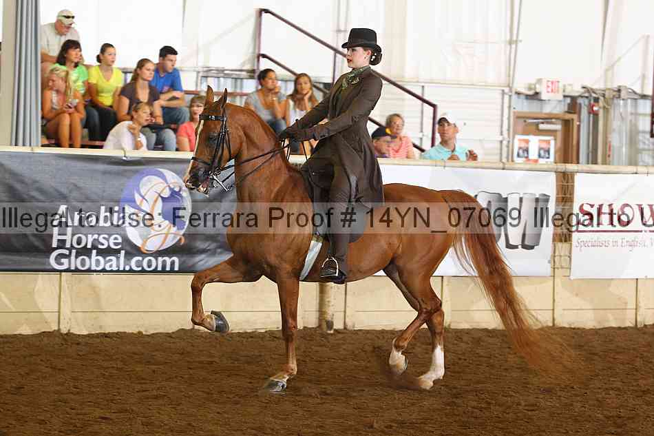 Proof 14yn_07069