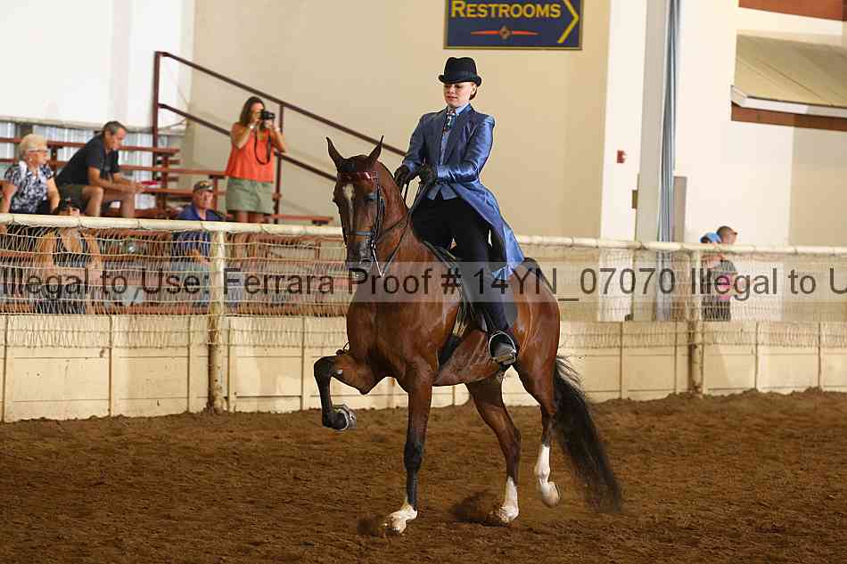 Proof 14yn_07070