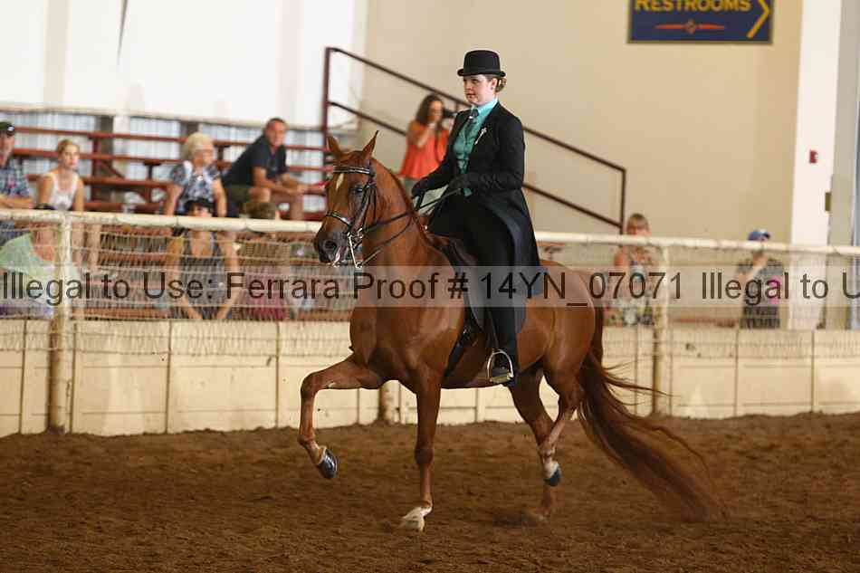 Proof 14yn_07071