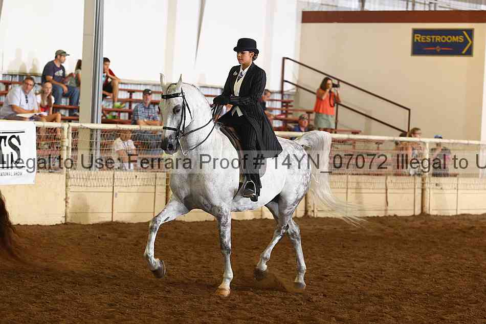 Proof 14yn_07072