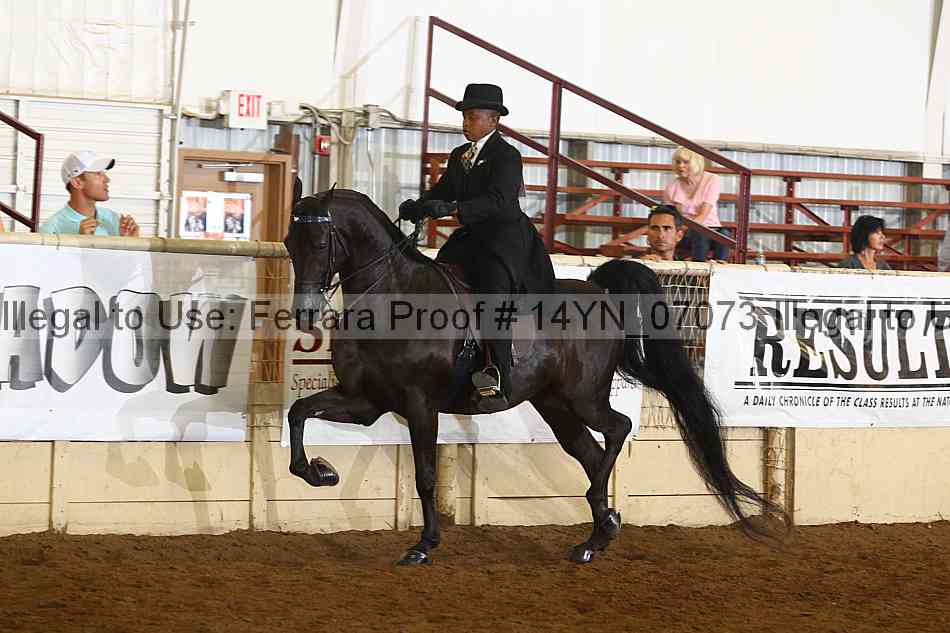 Proof 14yn_07073