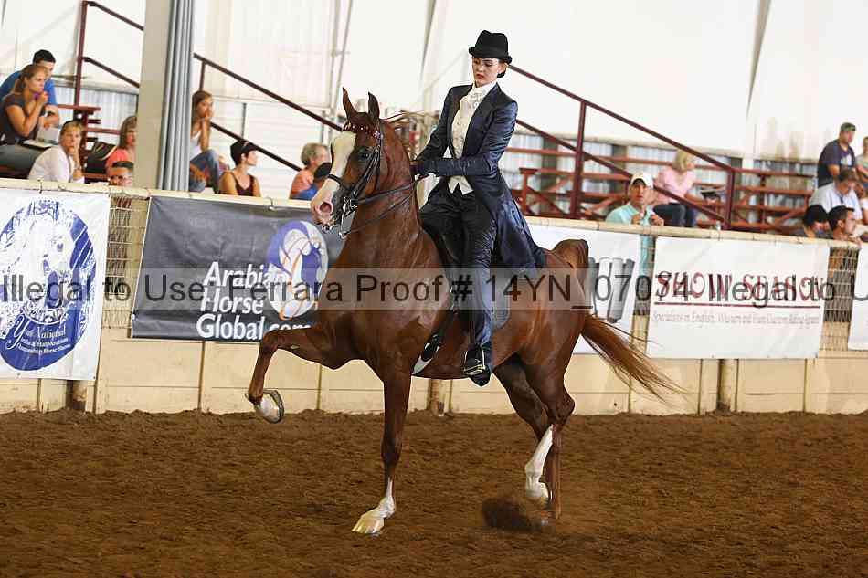 Proof 14yn_07074