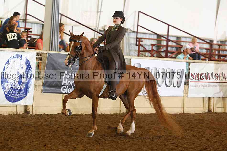 Proof 14yn_07075
