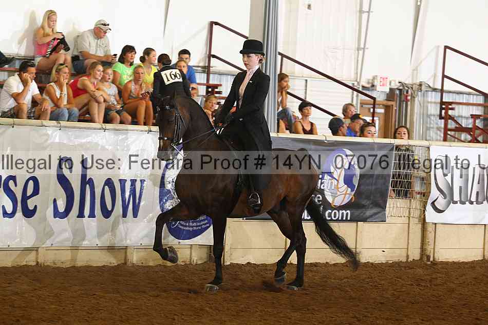 Proof 14yn_07076