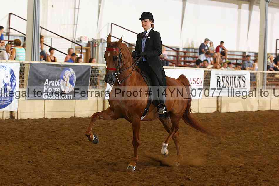 Proof 14yn_07077