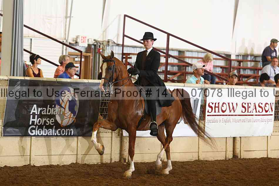 Proof 14yn_07078