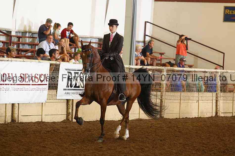 Proof 14yn_07079