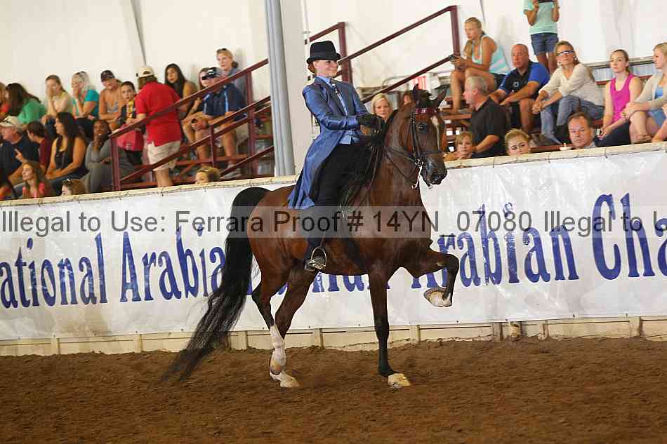 Proof 14yn_07080
