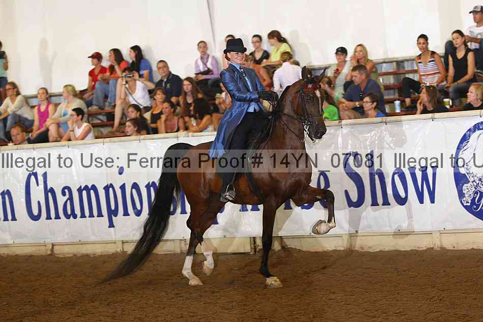 Proof 14yn_07081