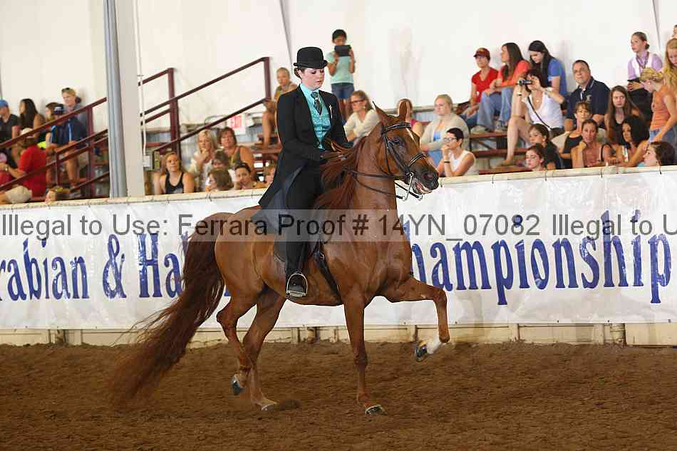 Proof 14yn_07082