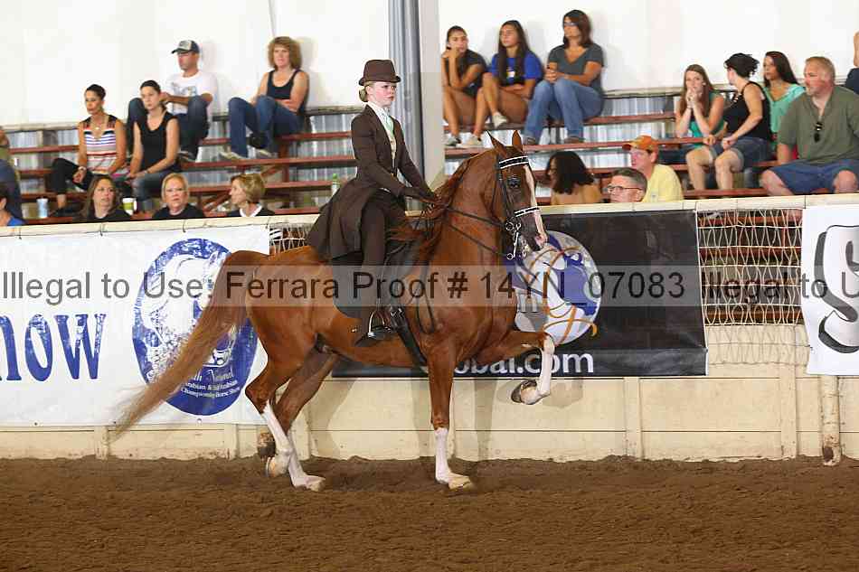 Proof 14yn_07083