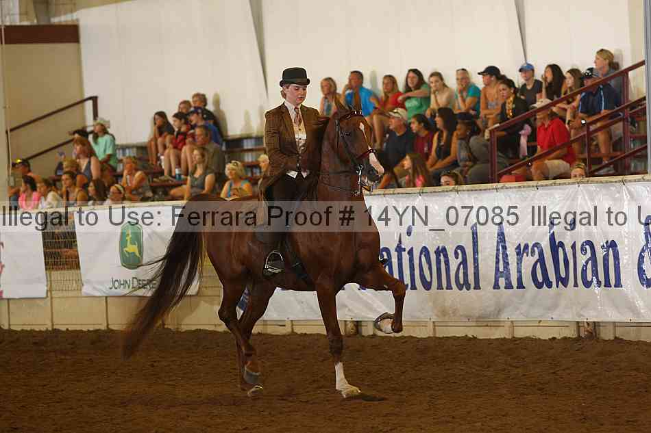 Proof 14yn_07085