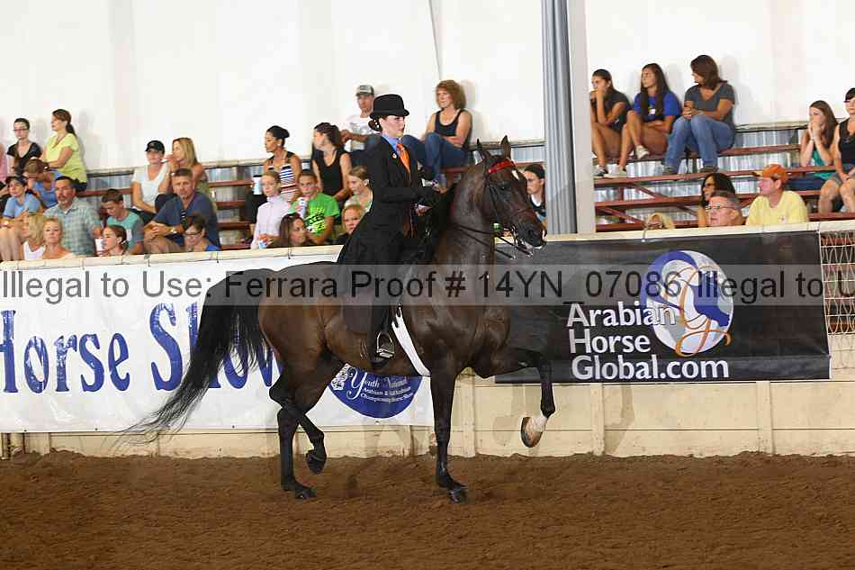 Proof 14yn_07086