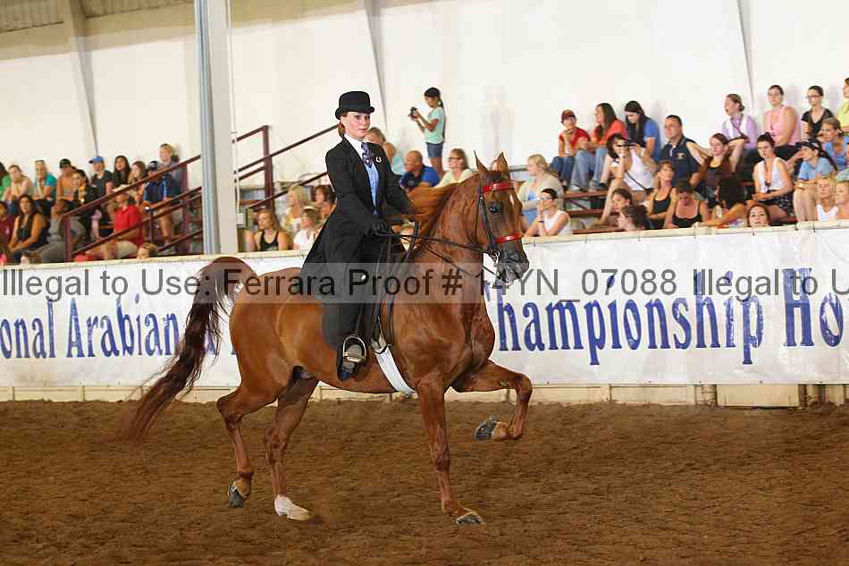 Proof 14yn_07088