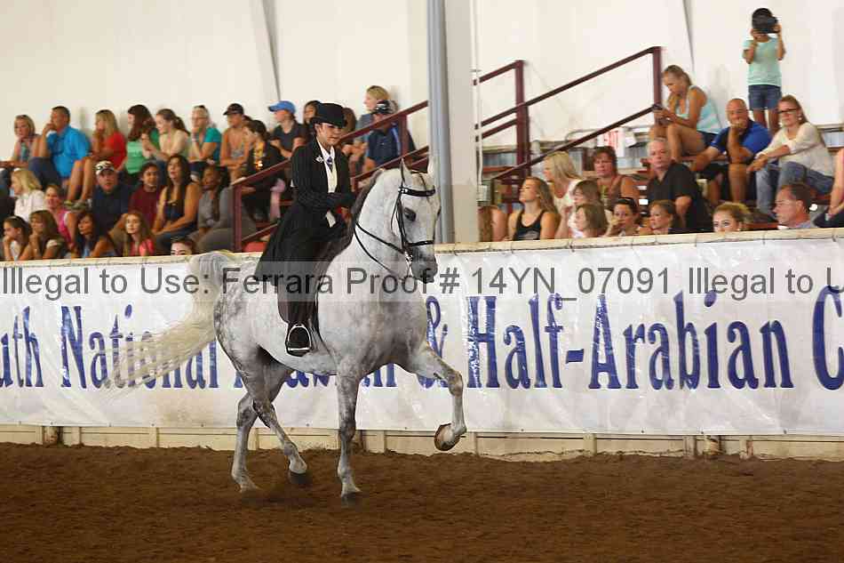 Proof 14yn_07091