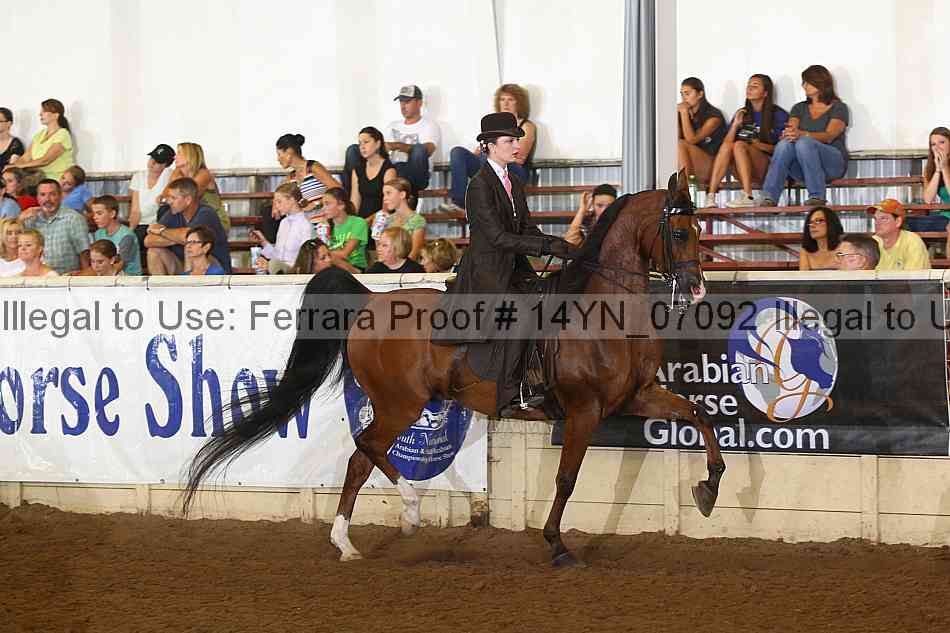 Proof 14yn_07092